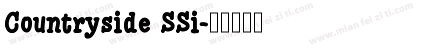 Countryside SSi字体转换